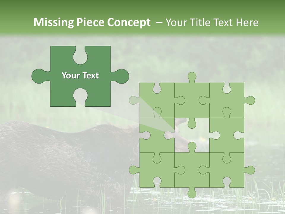 Mammal Nature Provincial PowerPoint Template