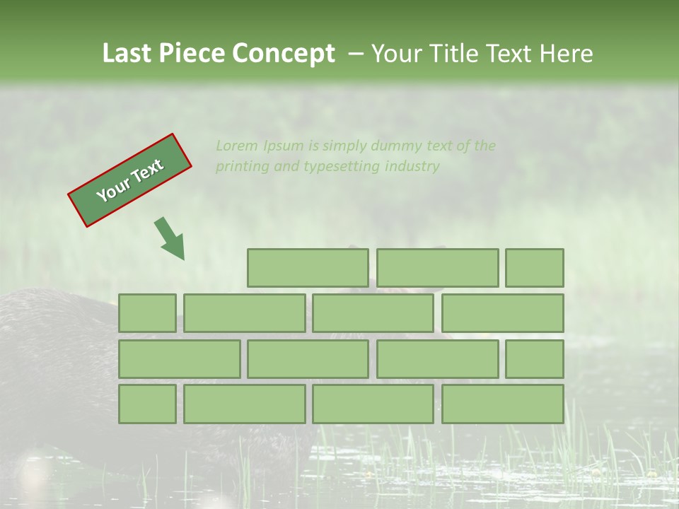Mammal Nature Provincial PowerPoint Template