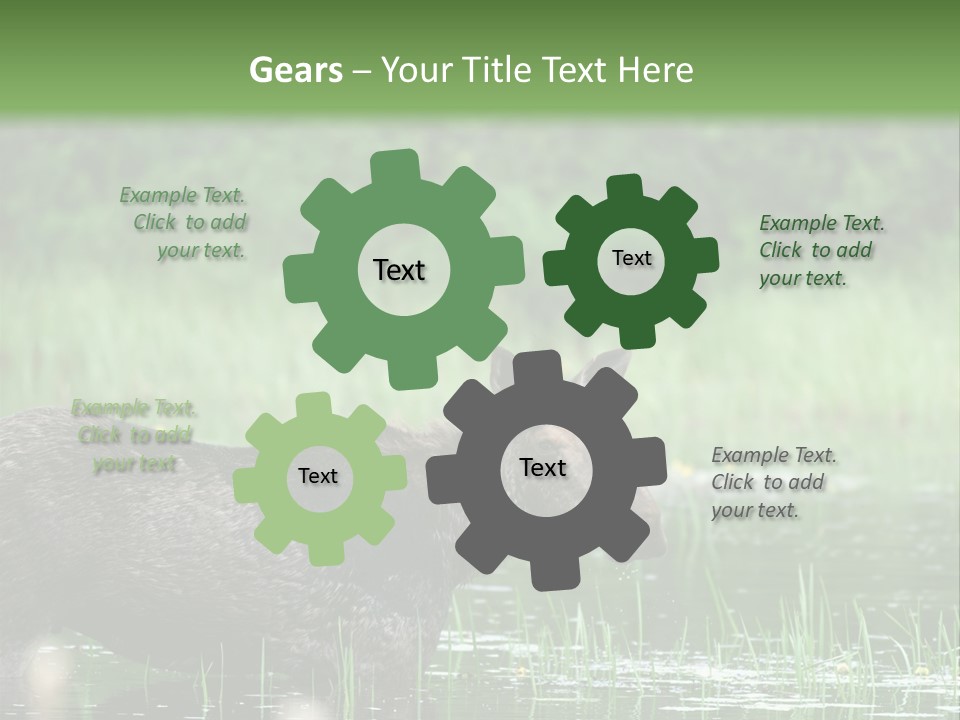 Mammal Nature Provincial PowerPoint Template