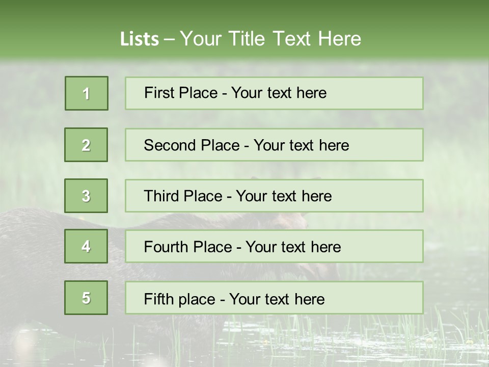 Mammal Nature Provincial PowerPoint Template