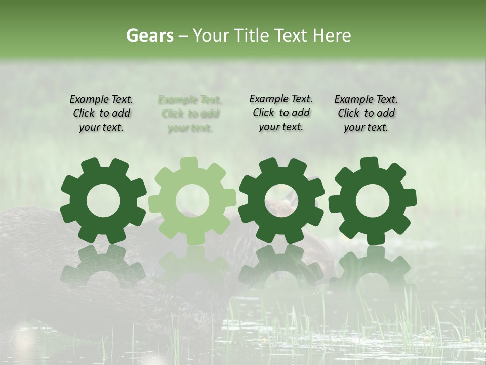 Mammal Nature Provincial PowerPoint Template