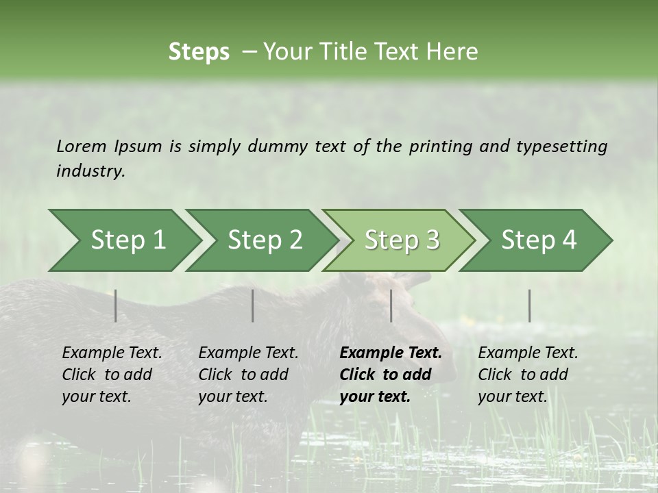 Mammal Nature Provincial PowerPoint Template