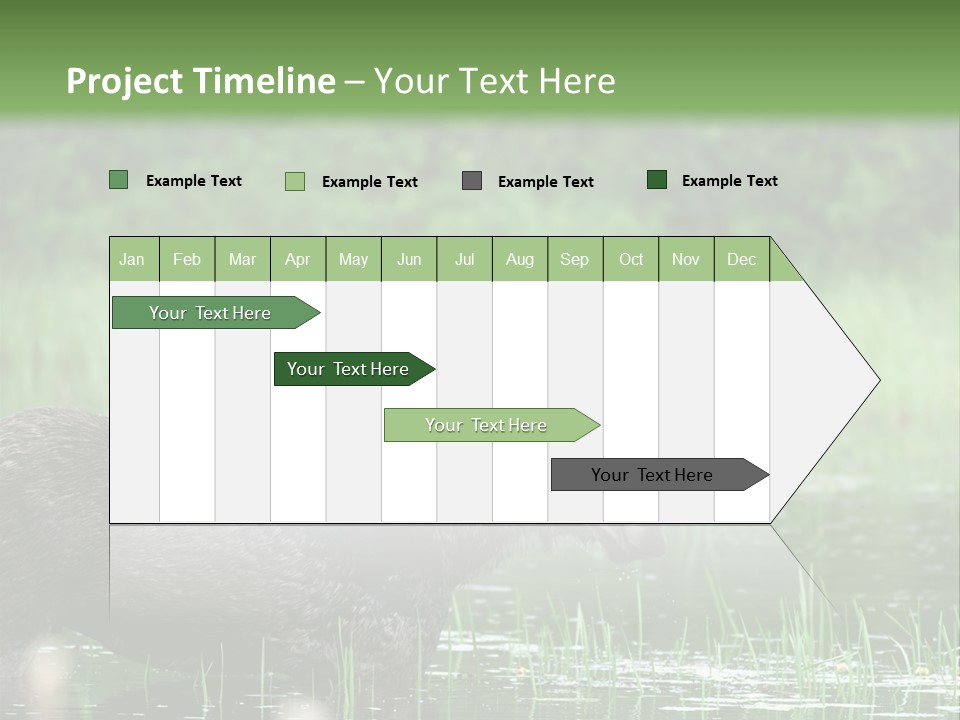 Mammal Nature Provincial PowerPoint Template