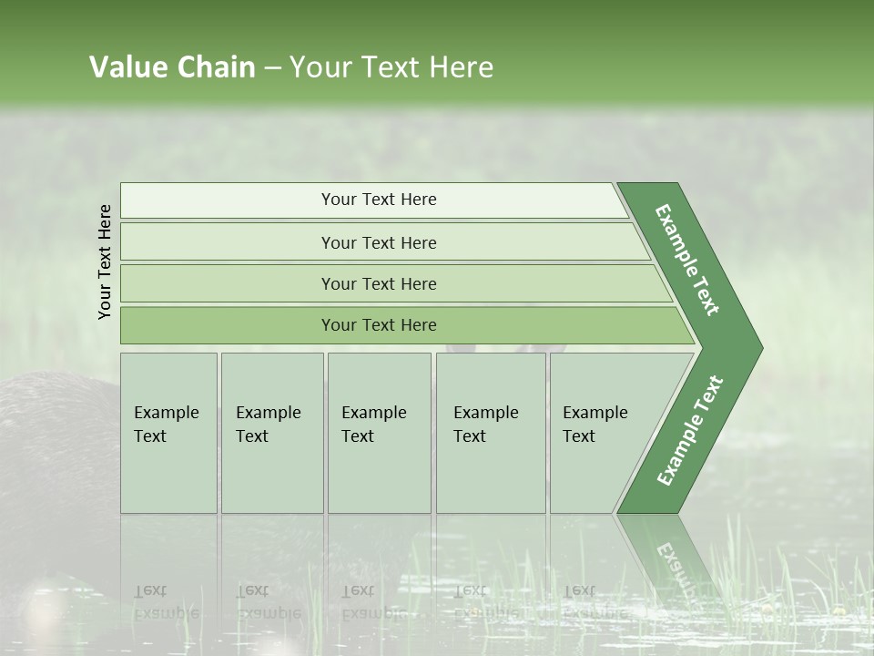 Mammal Nature Provincial PowerPoint Template