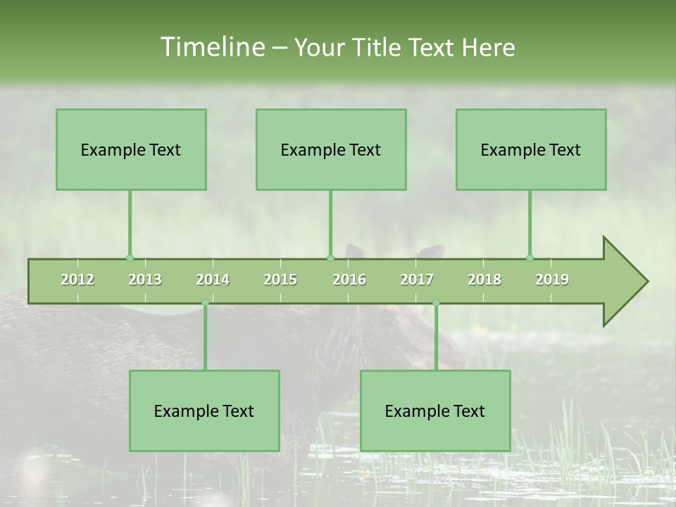 Mammal Nature Provincial PowerPoint Template
