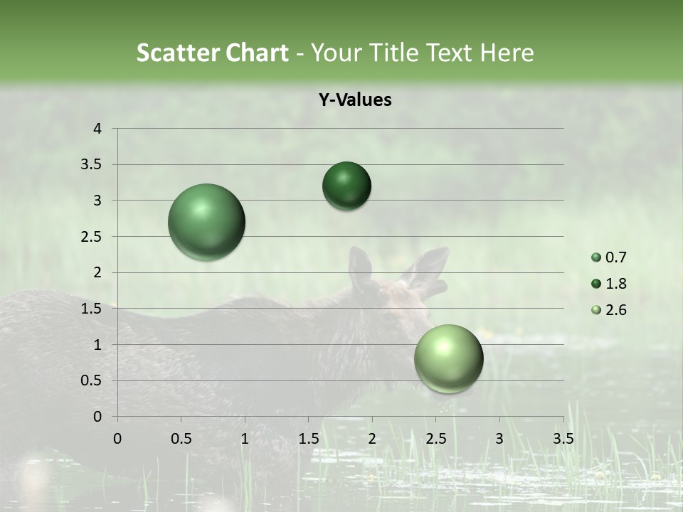 Mammal Nature Provincial PowerPoint Template