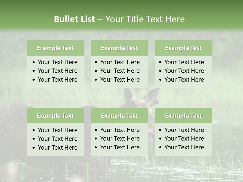 Mammal Nature Provincial PowerPoint Template