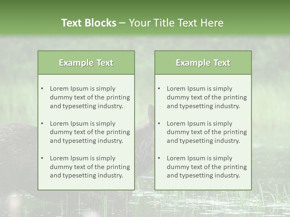 Mammal Nature Provincial PowerPoint Template
