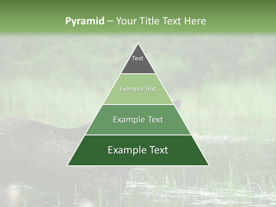 Mammal Nature Provincial PowerPoint Template