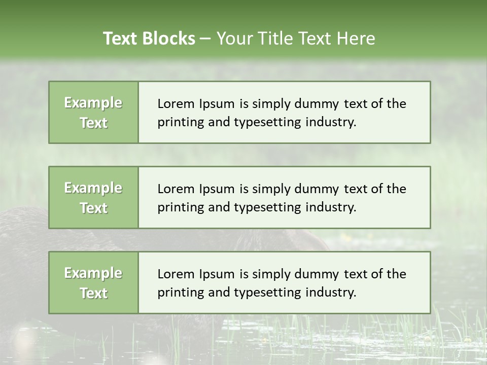 Mammal Nature Provincial PowerPoint Template