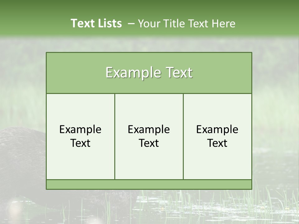Mammal Nature Provincial PowerPoint Template
