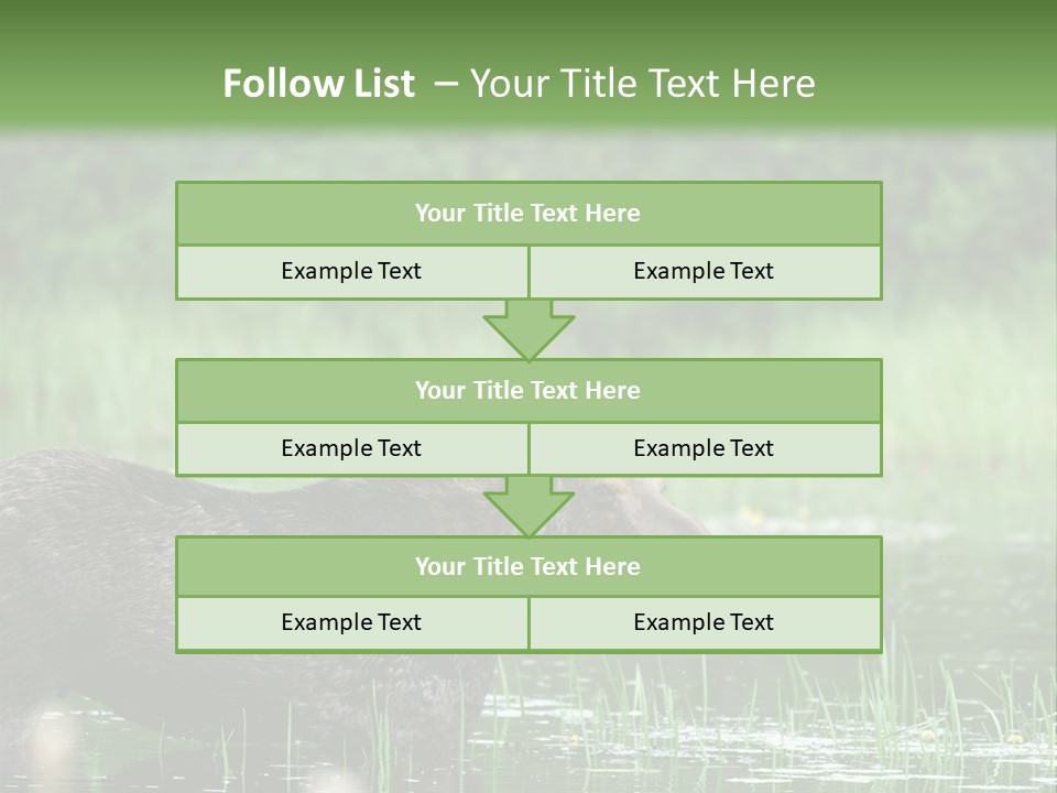 Mammal Nature Provincial PowerPoint Template