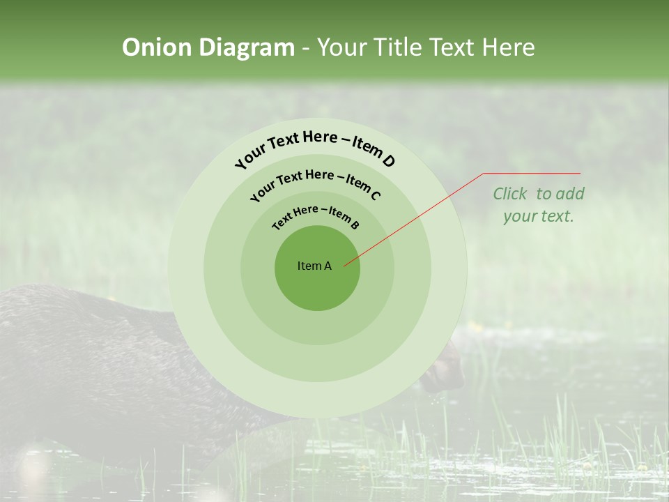 Mammal Nature Provincial PowerPoint Template