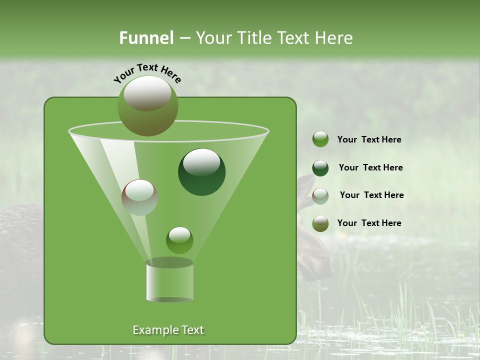 Mammal Nature Provincial PowerPoint Template