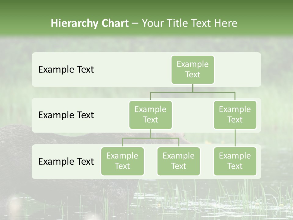Mammal Nature Provincial PowerPoint Template