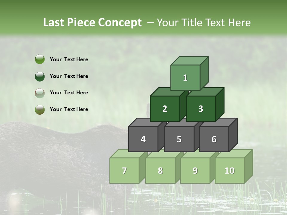 Mammal Nature Provincial PowerPoint Template