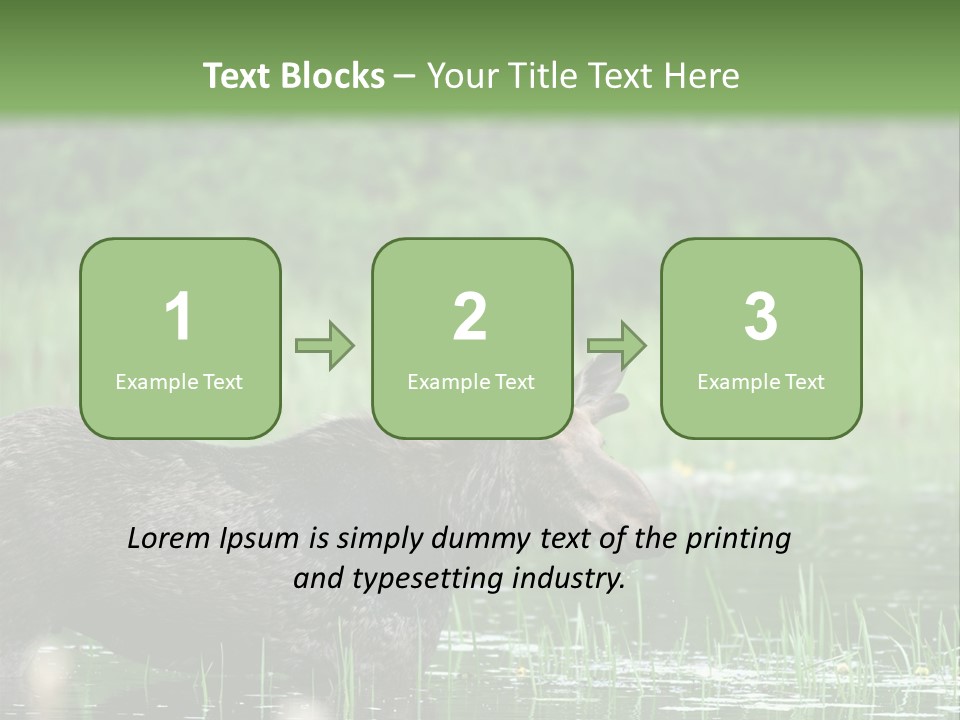 Mammal Nature Provincial PowerPoint Template