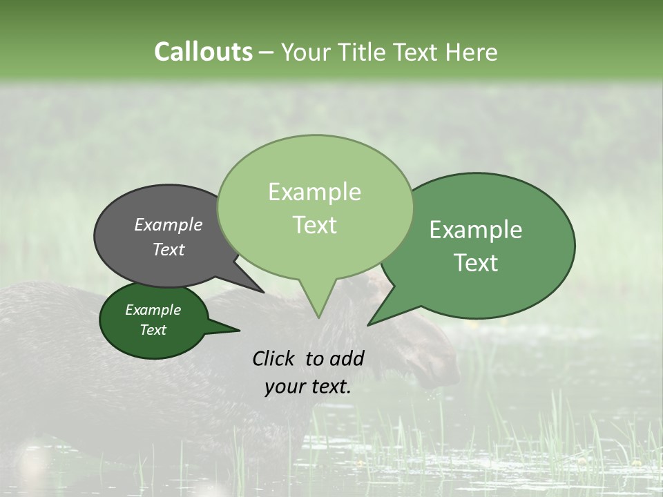 Mammal Nature Provincial PowerPoint Template