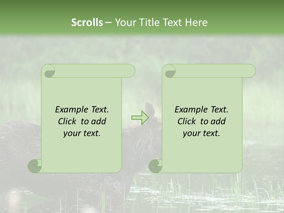 Mammal Nature Provincial PowerPoint Template