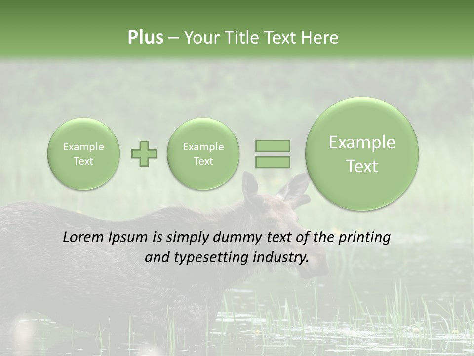 Mammal Nature Provincial PowerPoint Template