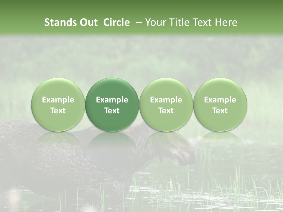 Mammal Nature Provincial PowerPoint Template