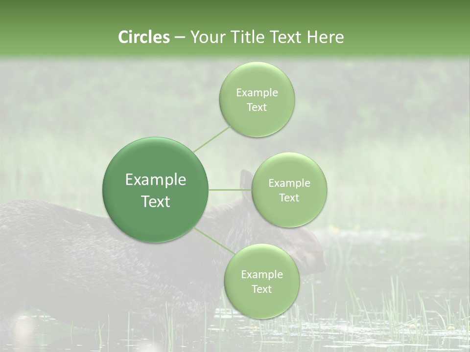 Mammal Nature Provincial PowerPoint Template