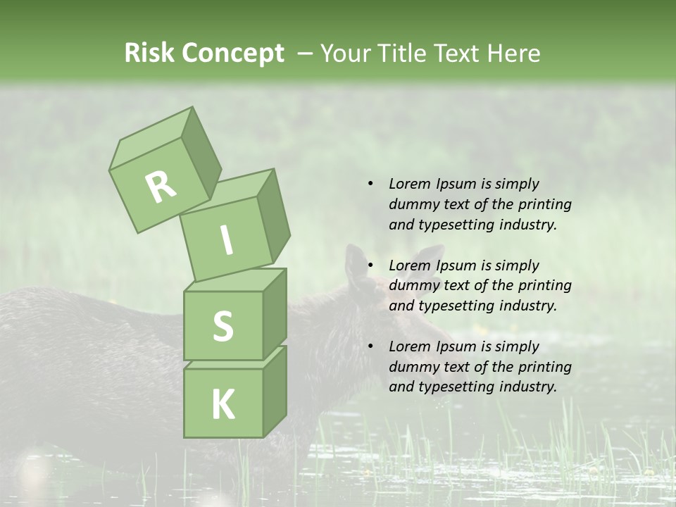 Mammal Nature Provincial PowerPoint Template