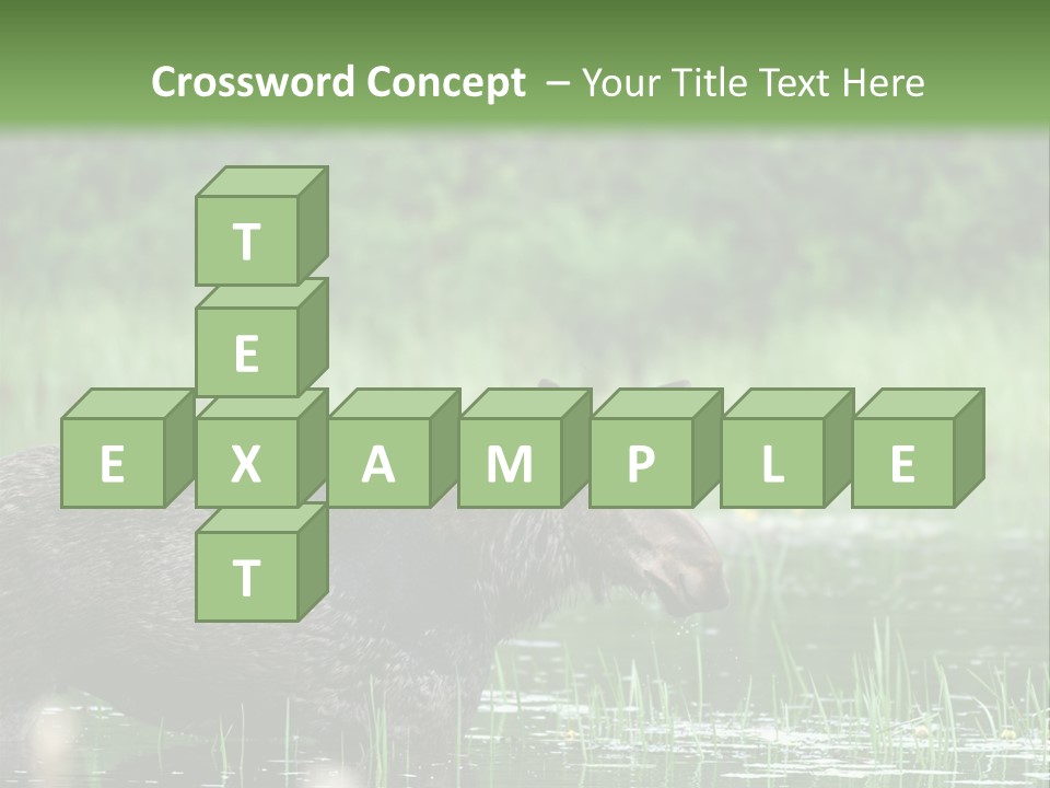 Mammal Nature Provincial PowerPoint Template