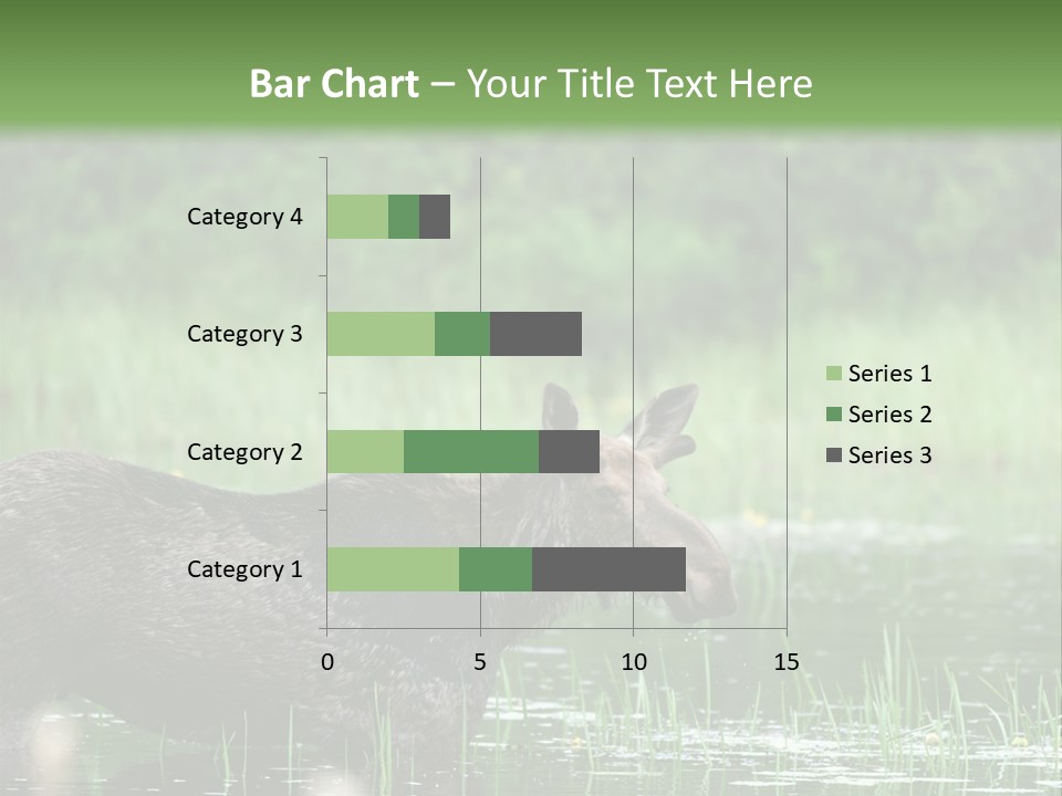 Mammal Nature Provincial PowerPoint Template