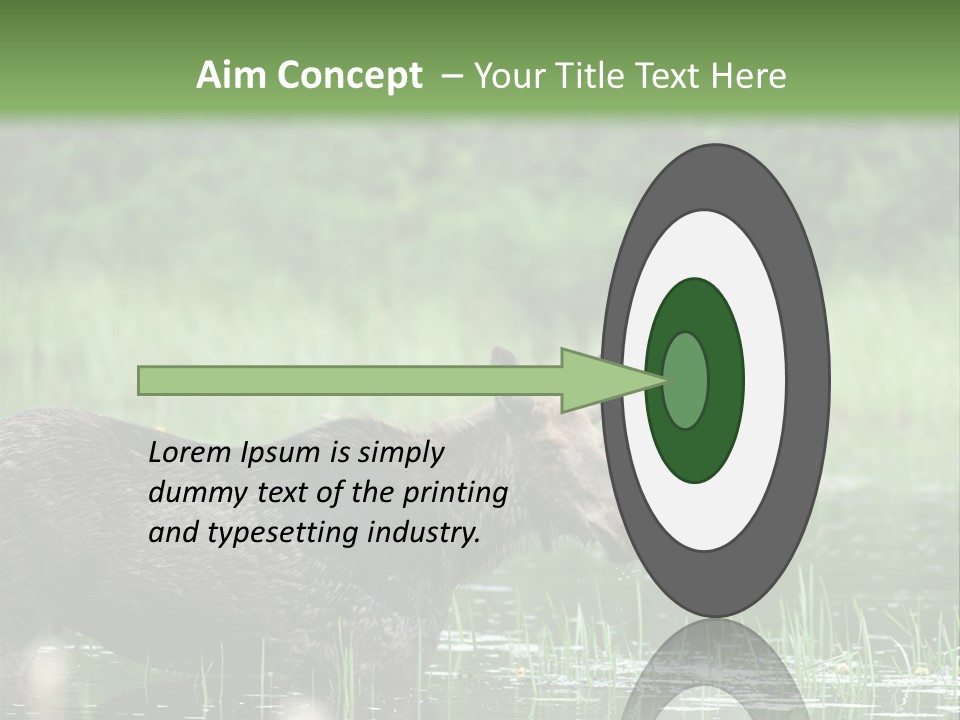 Mammal Nature Provincial PowerPoint Template