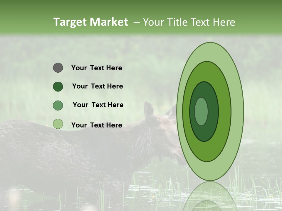 Mammal Nature Provincial PowerPoint Template