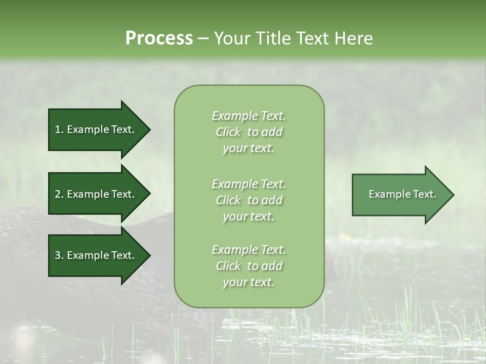 Mammal Nature Provincial PowerPoint Template