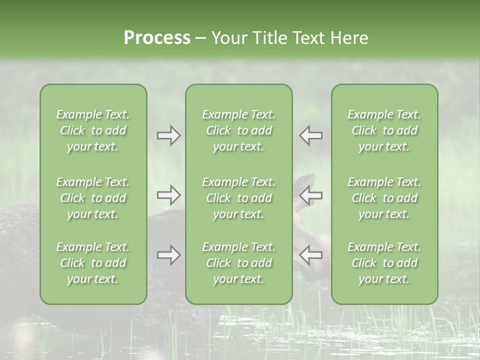 Mammal Nature Provincial PowerPoint Template