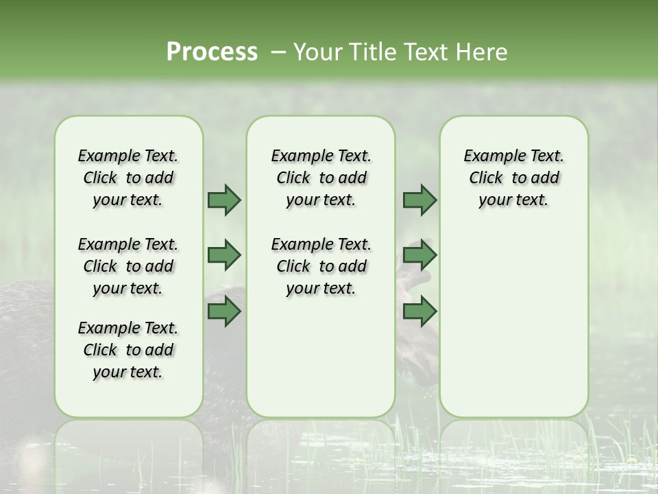 Mammal Nature Provincial PowerPoint Template