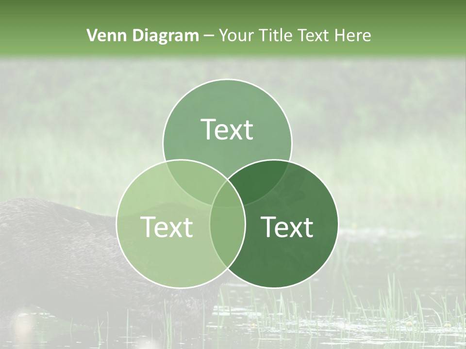 Mammal Nature Provincial PowerPoint Template