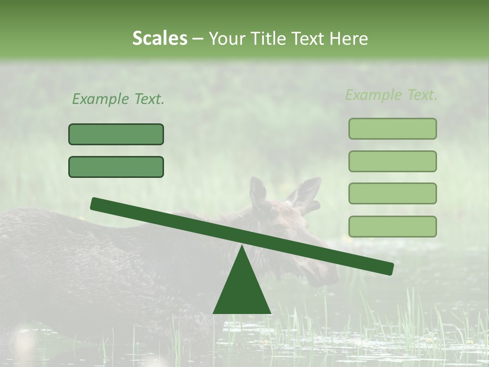 Mammal Nature Provincial PowerPoint Template