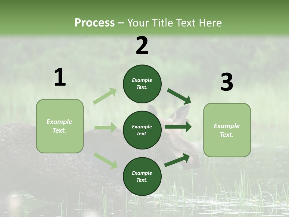 Mammal Nature Provincial PowerPoint Template