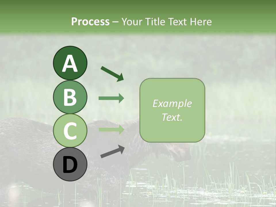 Mammal Nature Provincial PowerPoint Template