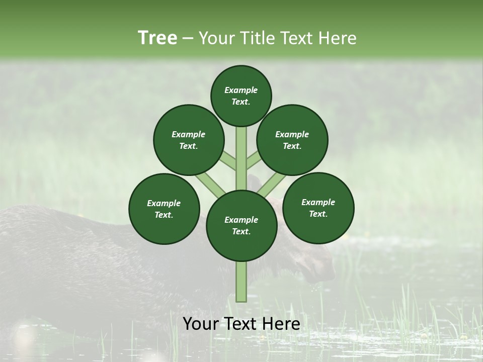 Mammal Nature Provincial PowerPoint Template