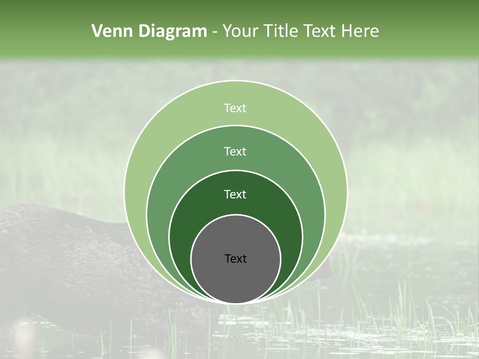 Mammal Nature Provincial PowerPoint Template