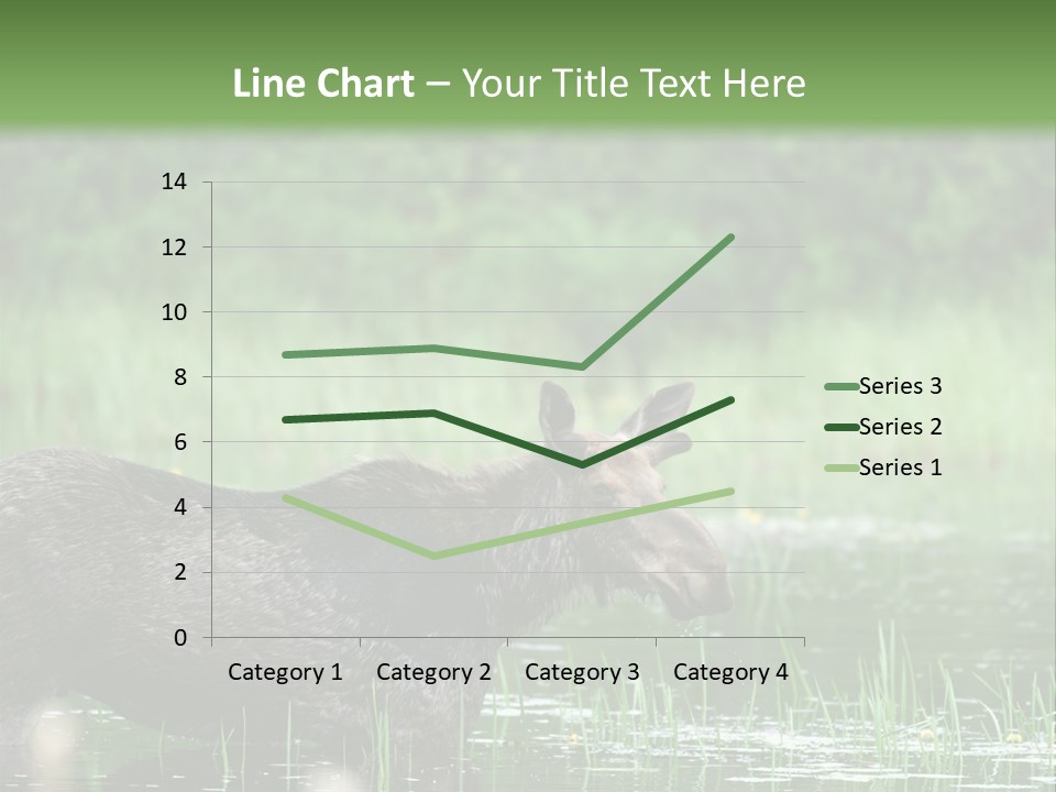 Mammal Nature Provincial PowerPoint Template