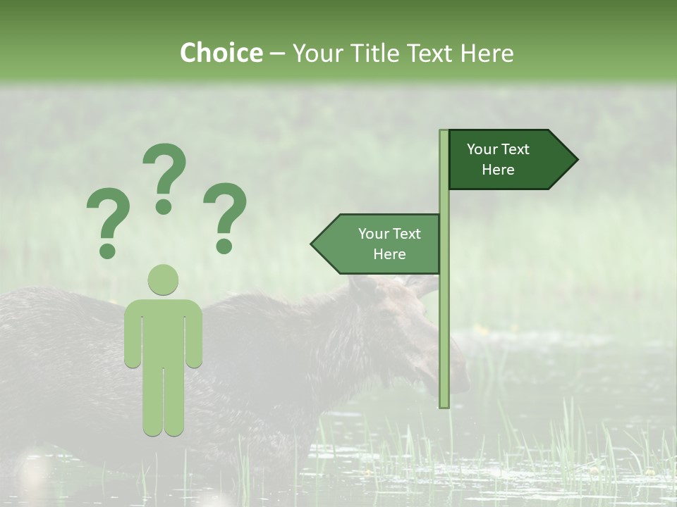 Mammal Nature Provincial PowerPoint Template