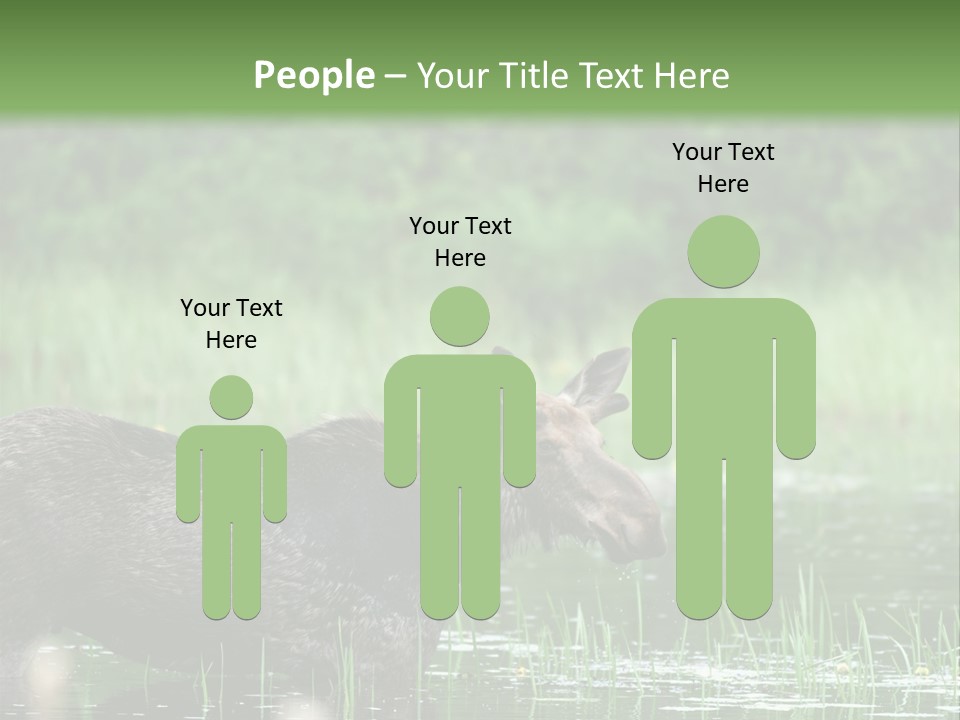 Mammal Nature Provincial PowerPoint Template