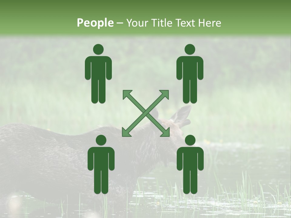 Mammal Nature Provincial PowerPoint Template