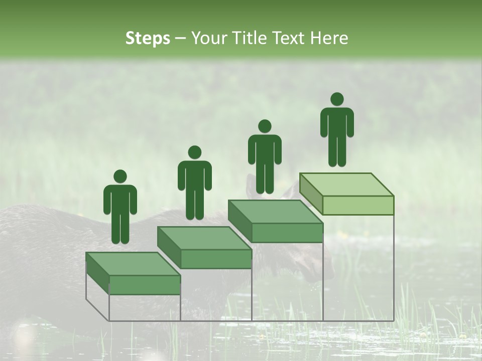 Mammal Nature Provincial PowerPoint Template