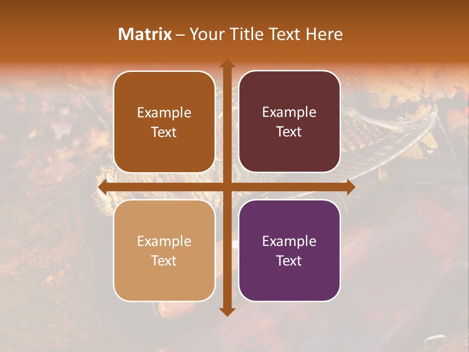 A Bird Sitting On Top Of A Wooden Bench PowerPoint Template