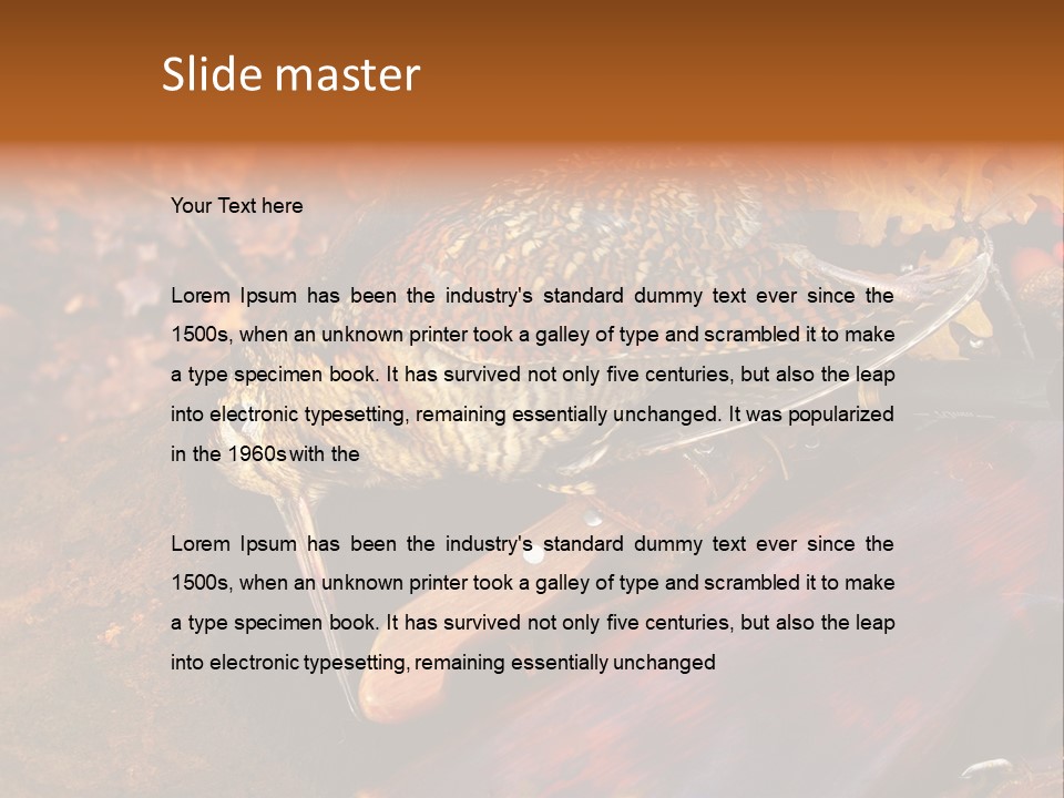 A Bird Sitting On Top Of A Wooden Bench PowerPoint Template