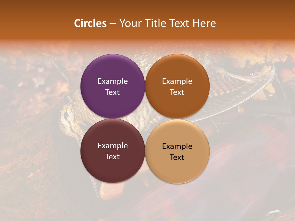 A Bird Sitting On Top Of A Wooden Bench PowerPoint Template