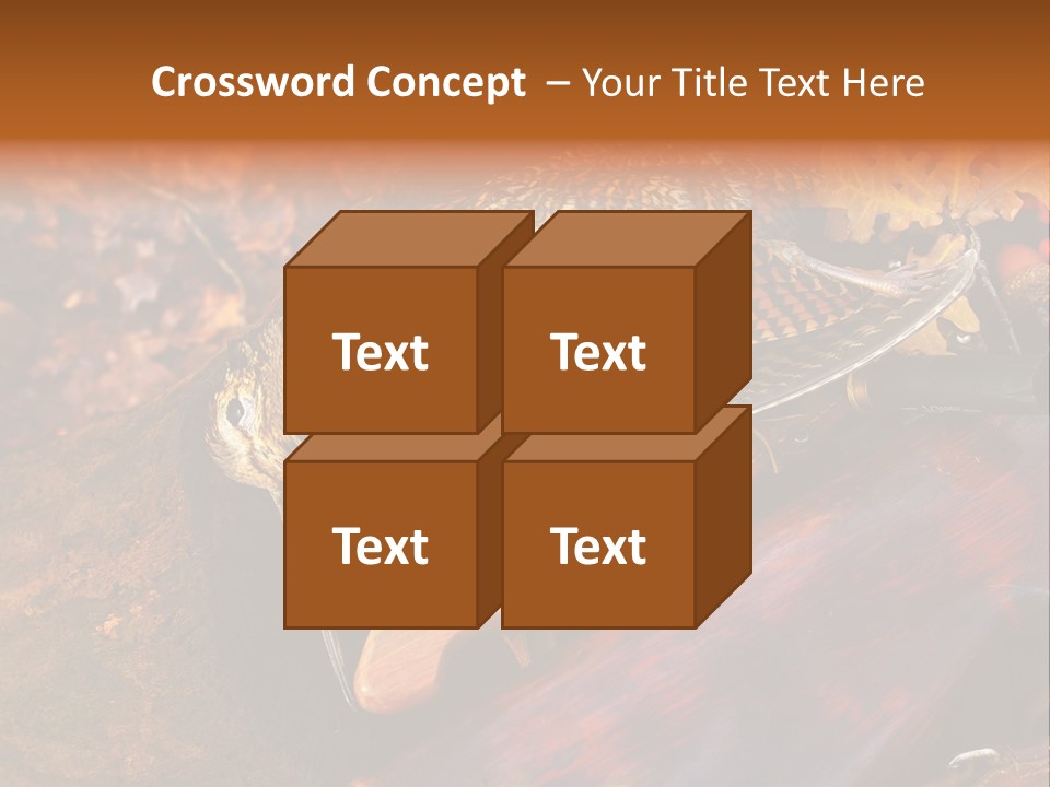 A Bird Sitting On Top Of A Wooden Bench PowerPoint Template