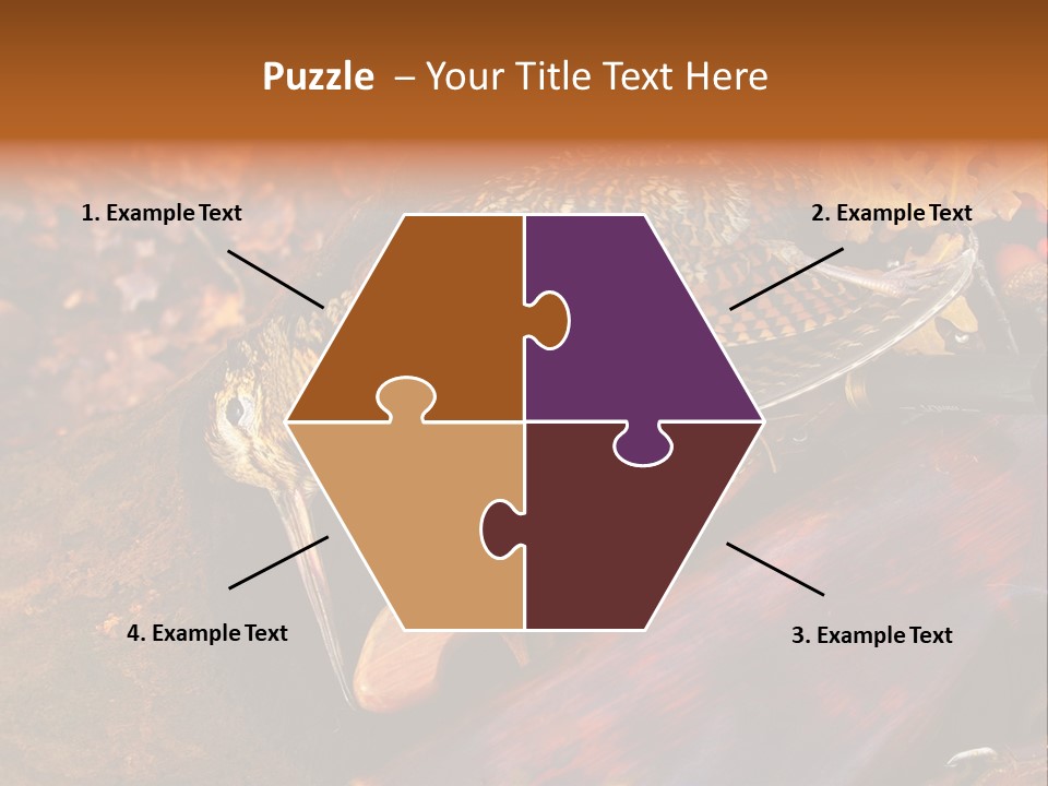 A Bird Sitting On Top Of A Wooden Bench PowerPoint Template